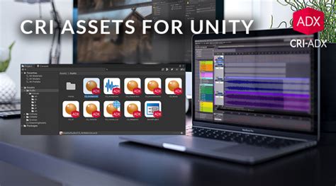 criware unity|crifilesystem.